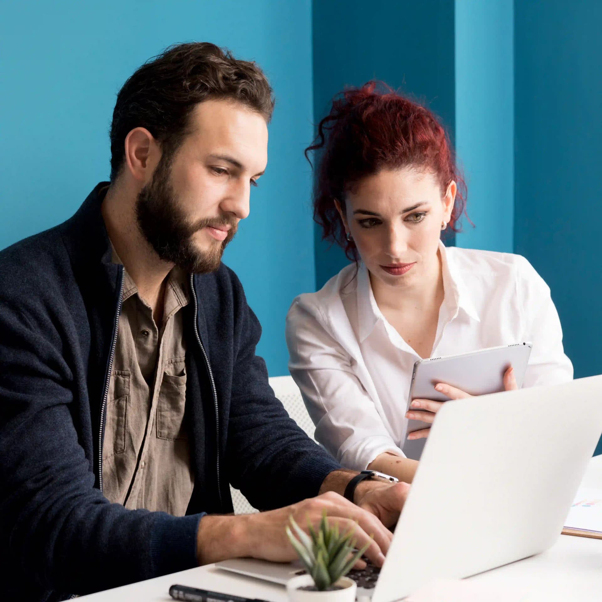 Consultations and Site Audit